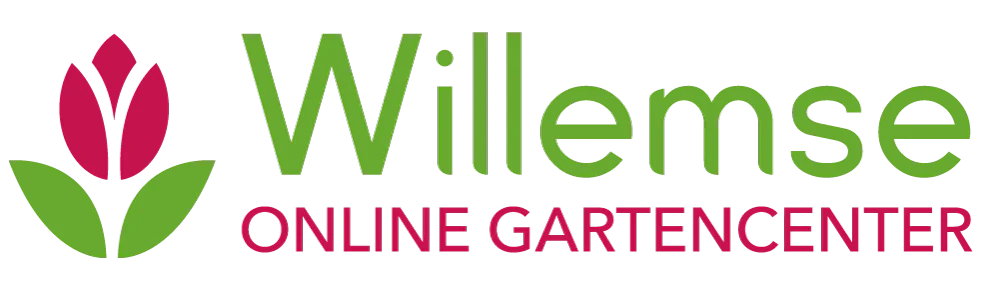 Willemse